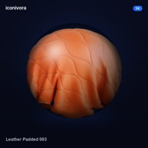 Leather Padded 003