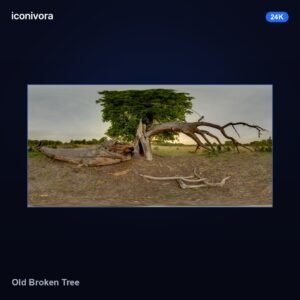 Old Broken Tree